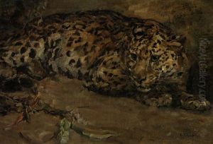Liegender Leopard by Carl Fahringer