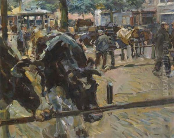 Rindemarkt In Holland - view 1