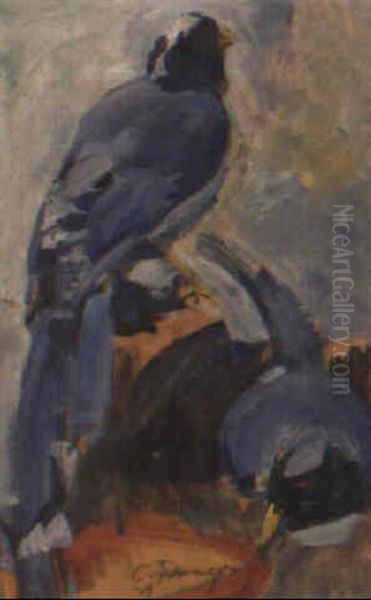 Exotische Vogel - view 1