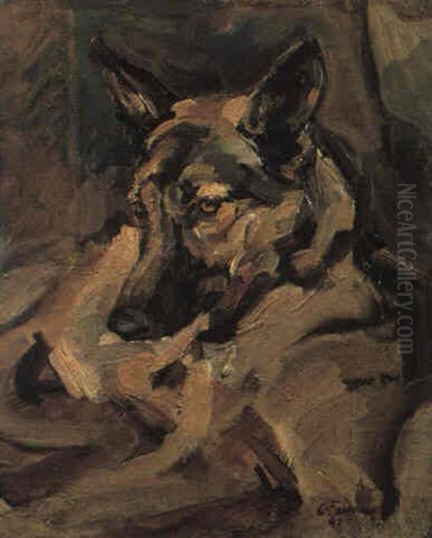 Schaferhund - view 1