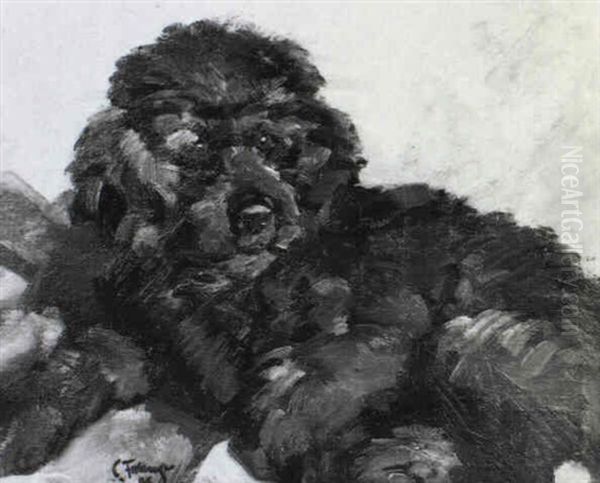 Schwarzer Hund - view 1
