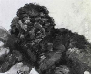Schwarzer Hund