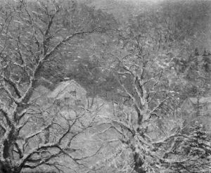 The Houses Through The Trees by Mary Louise Fairchild