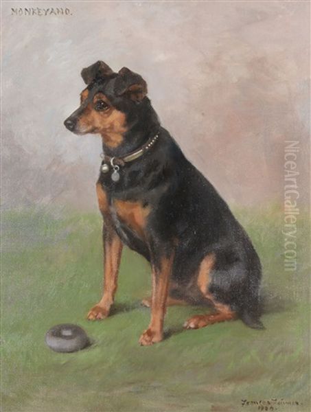 Seated Manchester Terrier With A Toy - view 1