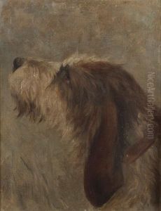 Sketch Of An Otterhound