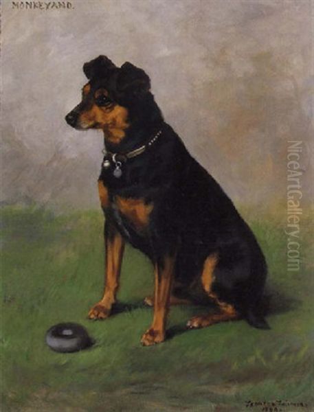 Monkeyano, Dog Portrait - view 1