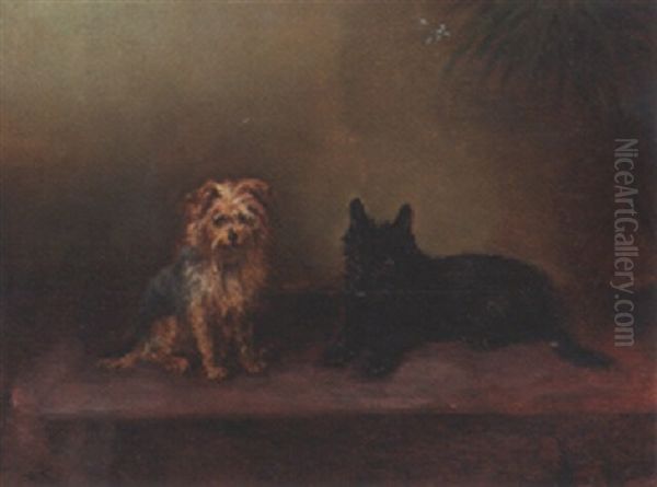 A Cairn Terrier With A Scottie - view 1