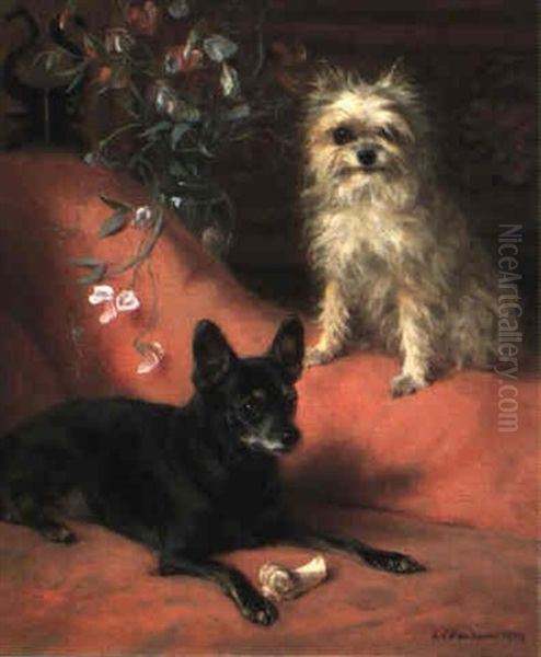 An English Toy Terrier And An Affenpincher - view 1