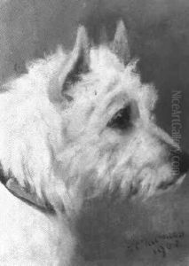 West Highland Terrier by Frances C. Fairman
