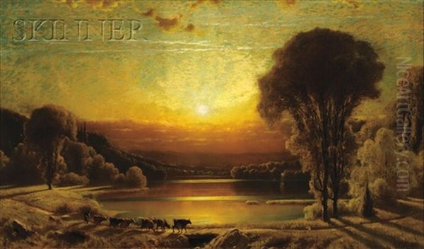 Cows Along The Riverbank At Sunset - view 1