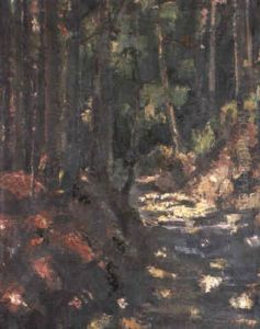 Waldweg Waldweg