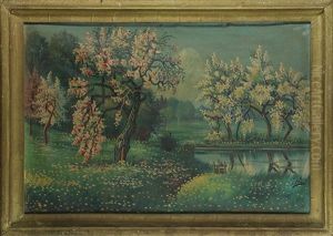Cherry Blossoms By The Lake