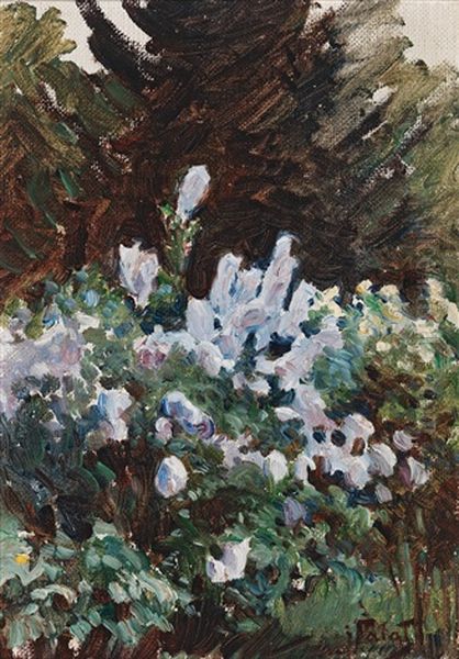 Blossoming Shrub - view 1