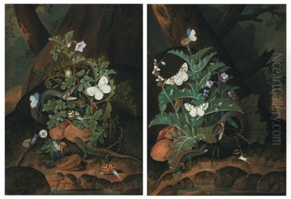 Two Forest Floors With A Snake, Lizard, Butterflies And Snails Amongst Weeds On A Riverbank - view 1