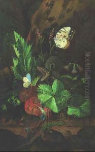 Forest Floor Still Life: A Snake Attacking A Chalk Hill Blue by Johann Falch