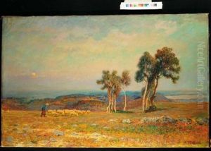Paesaggio Con Pecore