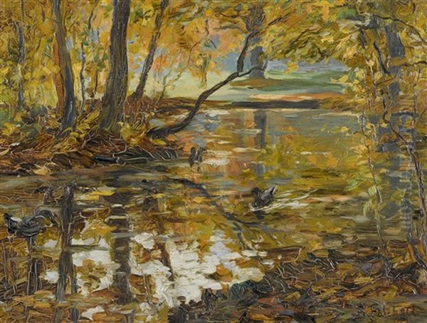 Herbstlicher Bach Mit Enten - view 1