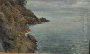 Scogliera