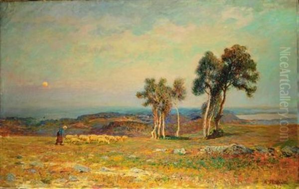 Paesaggio Con Pecore - view 1