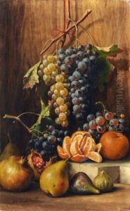 Stillleben Mit Fruchten
