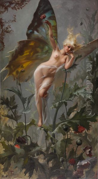 The Poppy Fairy - view 1