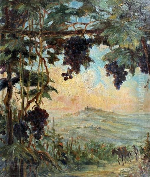 Italian Landscape As Viewed From A Vineyard With Fruiting Vines To The Foreground - view 1