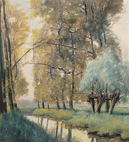 Niederrheinisches Altwasser Mit Pappeln Und Knuppelweiden Im Fruhling - view 1