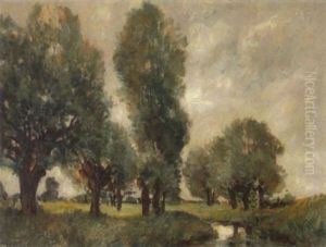 Weiden In Niederrheinischer Bachlandschaft