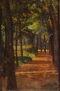 Viale Alberato by Antonio Maria Aspettati