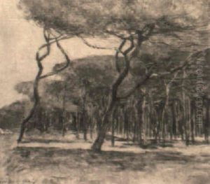 Pineta Di Viareggio