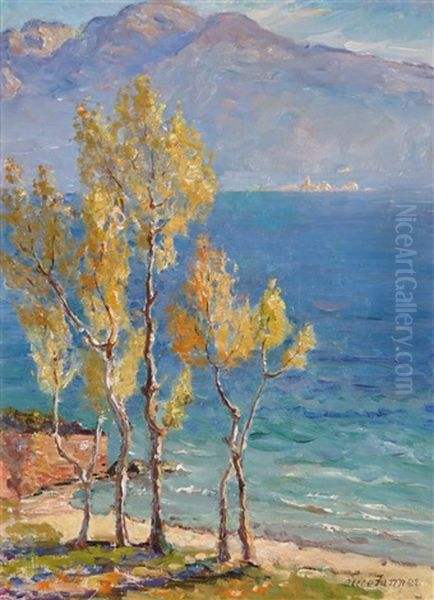Autumn Lake Garda - view 1