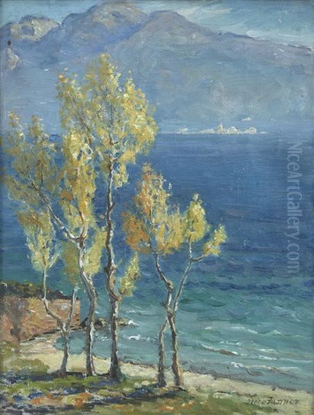 Autumn, Lake Garda - view 1