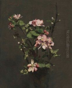 Fleurs De Pommier