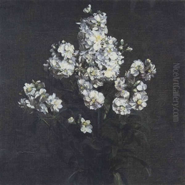 Bouquet De Giroflees Blanches - view 1