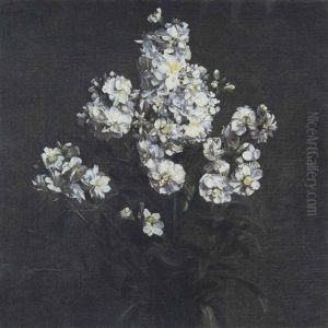 Bouquet De Giroflees Blanches