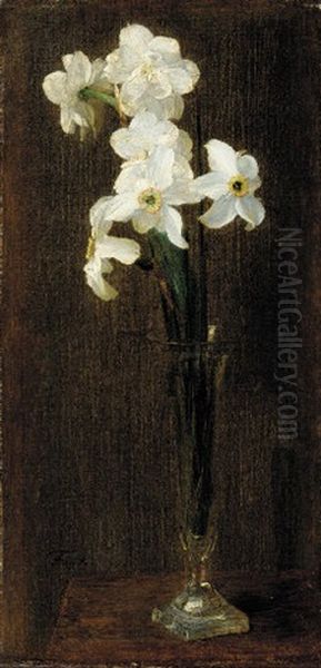 Fleurs, Narcisses - view 1