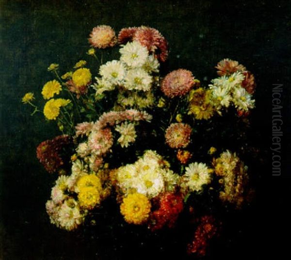 Chrysanthemen - view 1