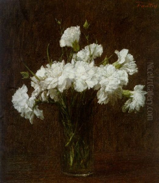 Oeillets Blancs - view 1