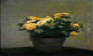 Pot De Chrysanthemes Pot De Chrysanthemes