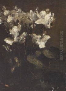 Fleurs, Cyclamens