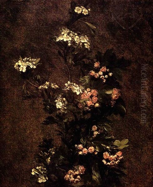 Fleurs Sauvages - view 1