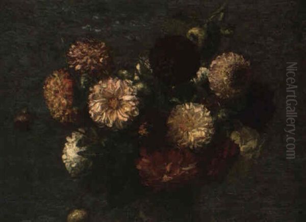 Chrysanthemes - view 1