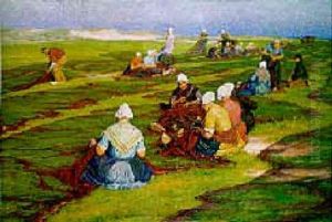 Netmenders In The Dunes