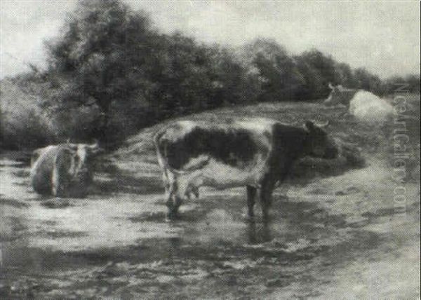 Cows At The River - view 1