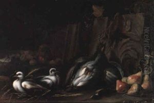 Stilleben Mit Taube by Giacomo Farelli
