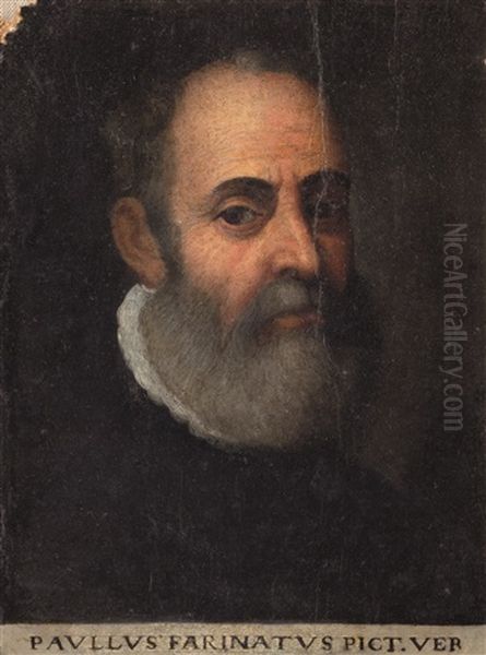Ritratto Di Paolo Farinati - view 1