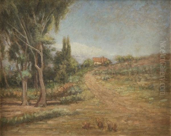 House In A Landscape - view 1