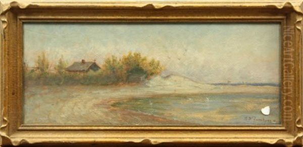 Beach Landscape With House And Dunes - view 1