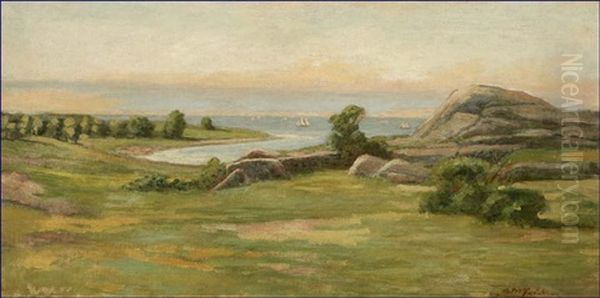 Sailboats In A Vast Coastal View - view 1