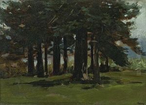 Stand Of Trees